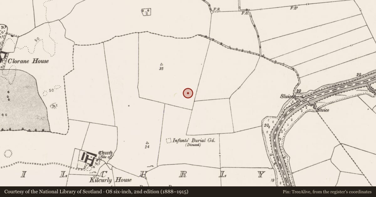 Ordnance Survey six-inch map, 2nd edition (1888–1915) covering the location of House - 16th/17th century, Kilcurly, County Limerick, with a pin at the register's coordinates