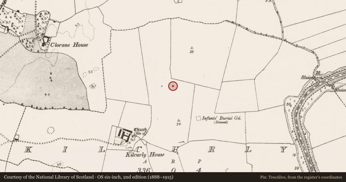Ordnance Survey six-inch map, 2nd edition (1888–1915) covering the location of Earthwork, Kilcurly, County Limerick, with a pin at the register's coordinates