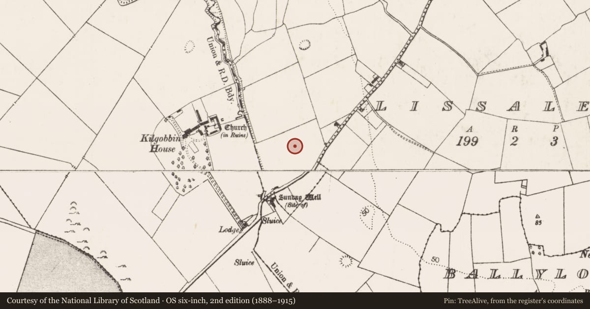 Ordnance Survey six-inch map, 2nd edition (1888–1915) covering the location of Enclosure, Cloonanna, County Limerick, with a pin at the register's coordinates