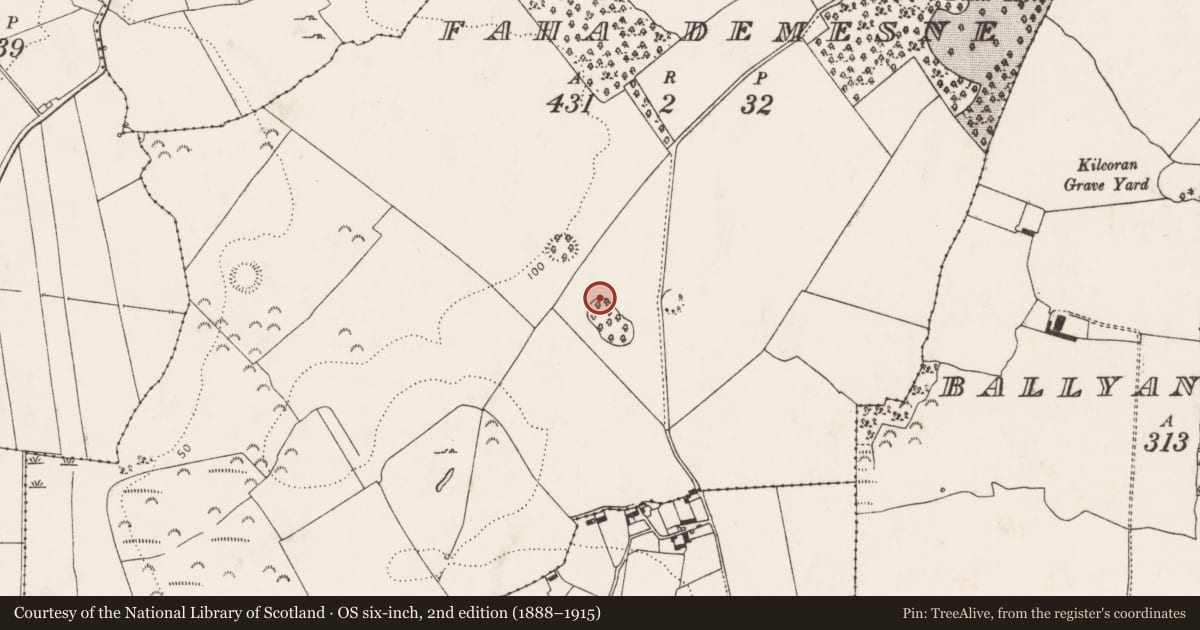 Ordnance Survey six-inch map, 2nd edition (1888–1915) covering the location of Enclosure, Faha Demesne, County Limerick, with a pin at the register's coordinates