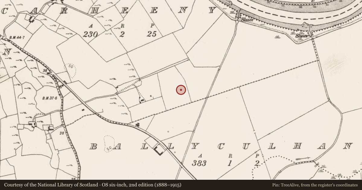 Ordnance Survey six-inch map, 2nd edition (1888–1915) covering the location of Enclosure, Carheeny, County Limerick, with a pin at the register's coordinates