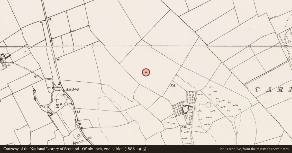 Ordnance Survey six-inch map, 2nd edition (1888–1915) covering the location of Earthwork, Corcamore, County Limerick, with a pin at the register's coordinates