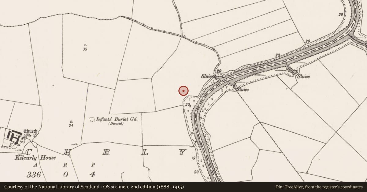 Ordnance Survey six-inch map, 2nd edition (1888–1915) covering the location of Earthwork, Kilcurly, County Limerick, with a pin at the register's coordinates