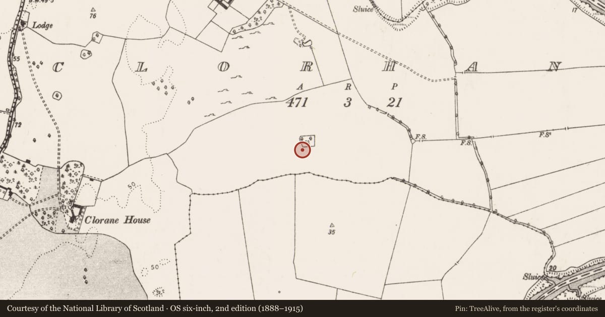 Ordnance Survey six-inch map, 2nd edition (1888–1915) covering the location of Field system, Clorhane, County Limerick, with a pin at the register's coordinates
