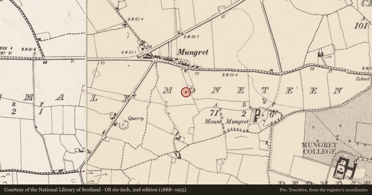 Ordnance Survey six-inch map, 2nd edition (1888–1915) covering the location of Moated site, Moneteen, County Limerick, with a pin at the register's coordinates