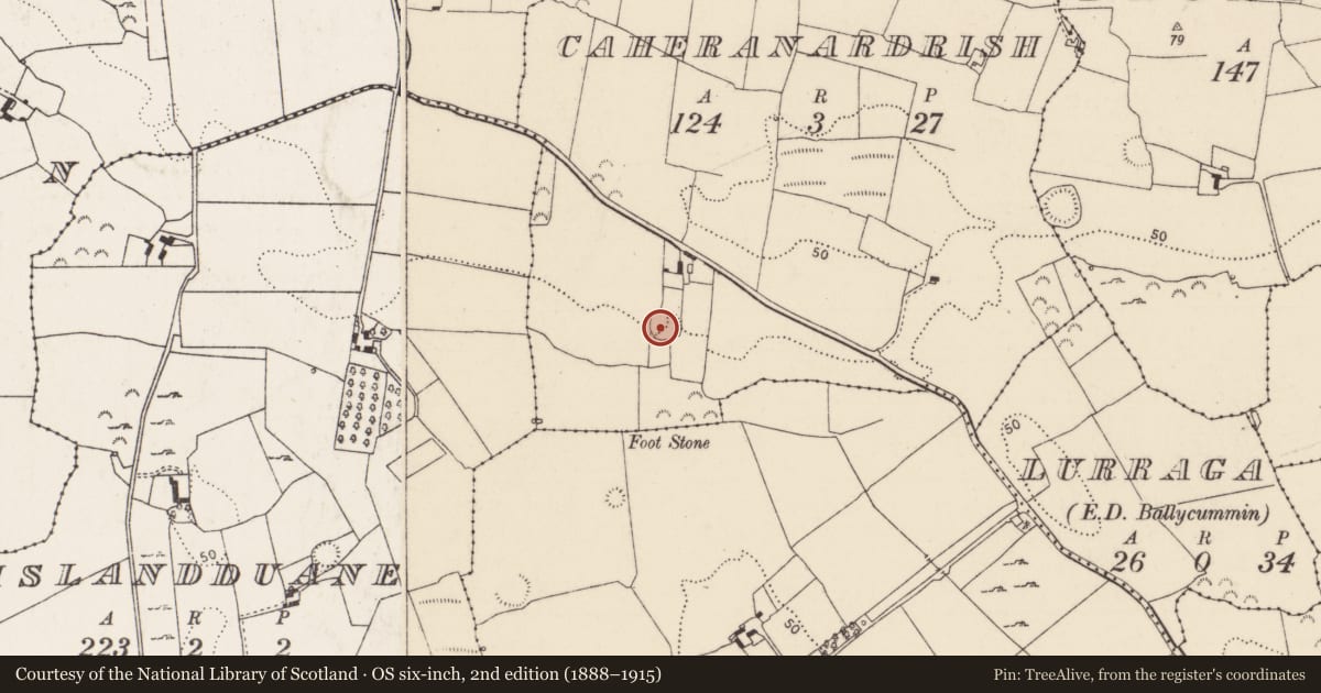 Ordnance Survey six-inch map, 2nd edition (1888–1915) covering the location of Ringfort - cashel, Caheranardrish, County Limerick, with a pin at the register's coordinates