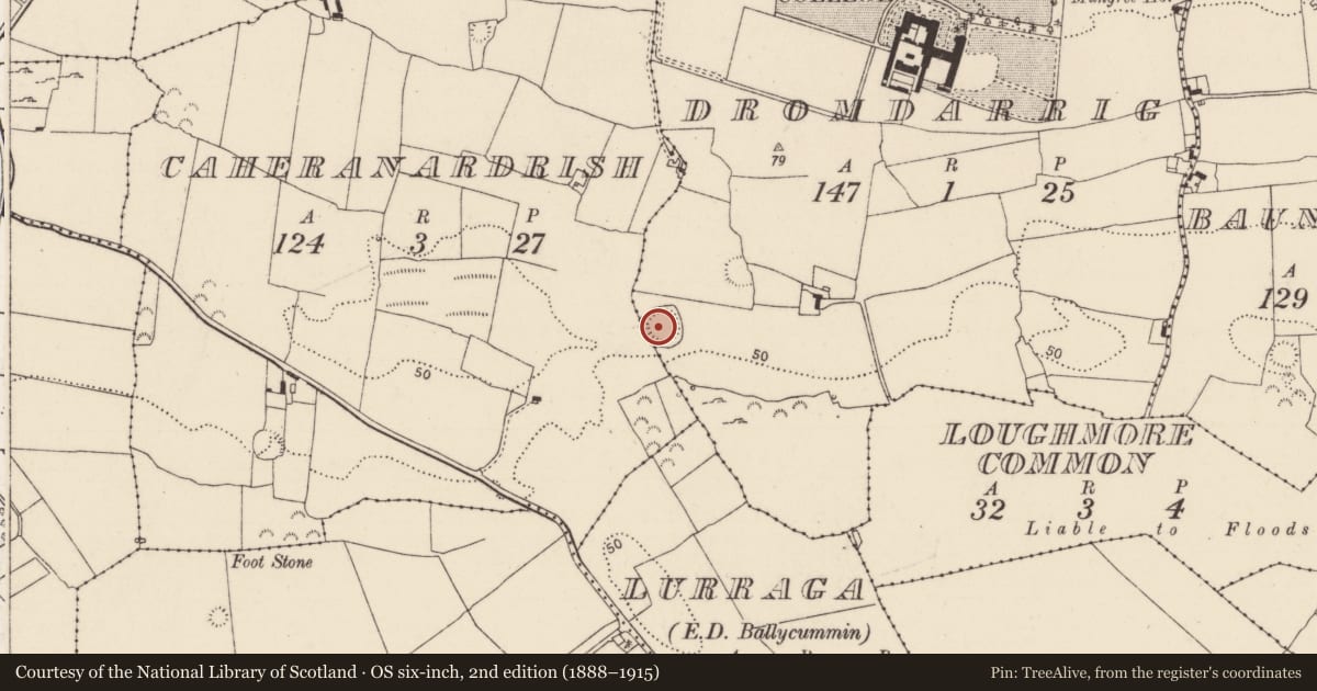 Ordnance Survey six-inch map, 2nd edition (1888–1915) covering the location of Ringfort - rath, Dromdarrig, County Limerick, with a pin at the register's coordinates