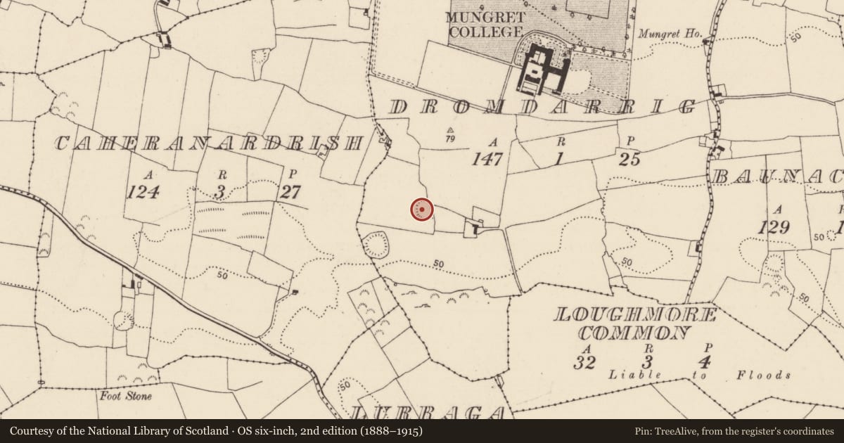 Ordnance Survey six-inch map, 2nd edition (1888–1915) covering the location of Enclosure, Dromdarrig, County Limerick, with a pin at the register's coordinates