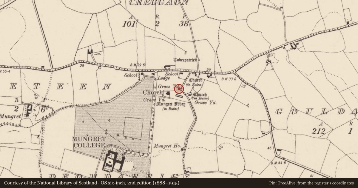 Ordnance Survey six-inch map, 2nd edition (1888–1915) covering the location of Historic town, County Limerick, with a pin at the register's coordinates