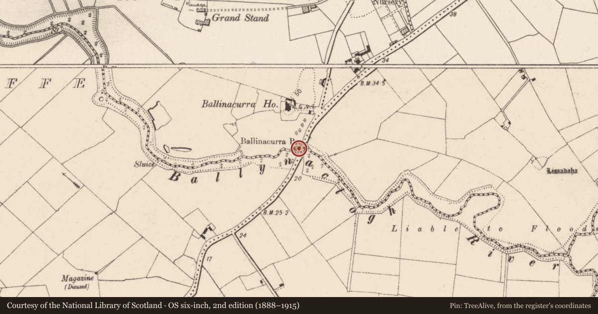 Ordnance Survey six-inch map, 2nd edition (1888–1915) covering the location of Bridge, County Limerick, with a pin at the register's coordinates