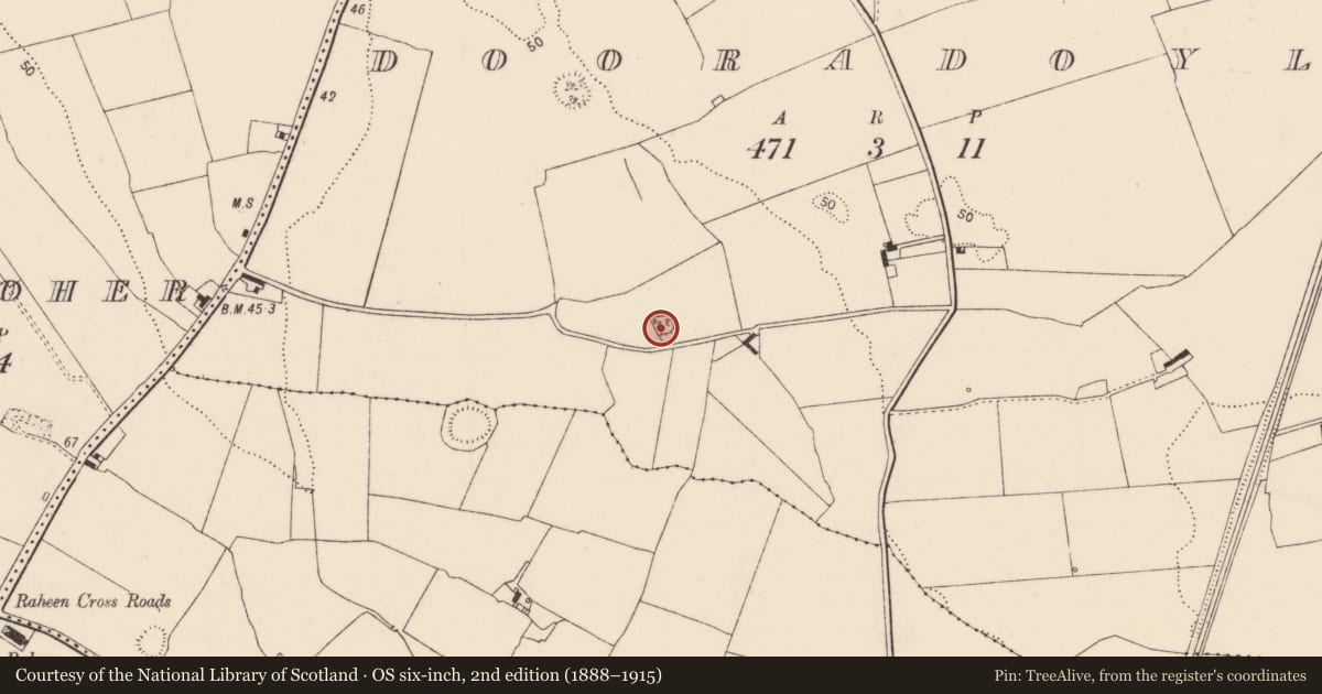Ordnance Survey six-inch map, 2nd edition (1888–1915) covering the location of Ringfort - rath, Dooradoyle, County Limerick, with a pin at the register's coordinates