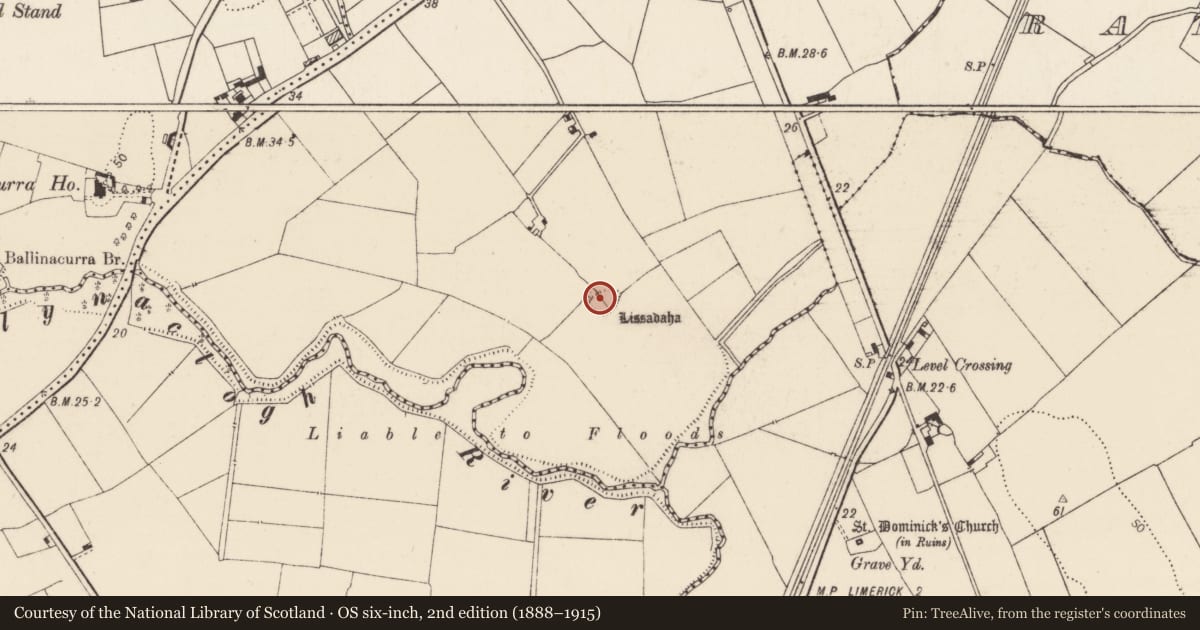 Ordnance Survey six-inch map, 2nd edition (1888–1915) covering the location of Ringfort - rath, Ballinacurra (Weston), County Limerick, with a pin at the register's coordinates