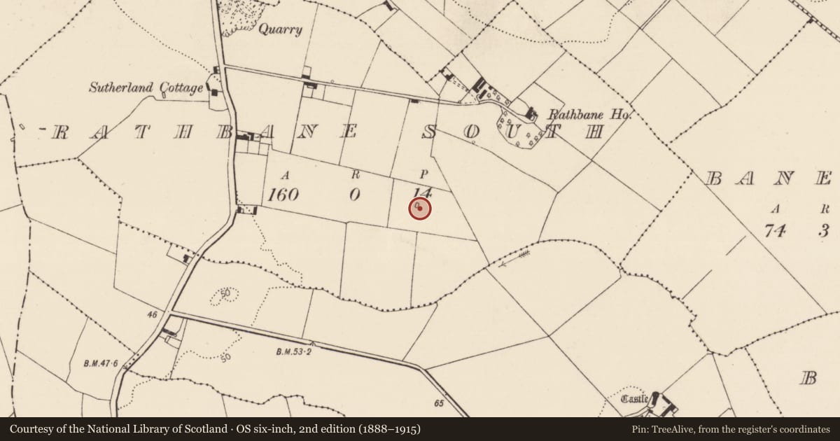 Ordnance Survey six-inch map, 2nd edition (1888–1915) covering the location of Barrow - unclassified, Rathbane South, County Limerick, with a pin at the register's coordinates