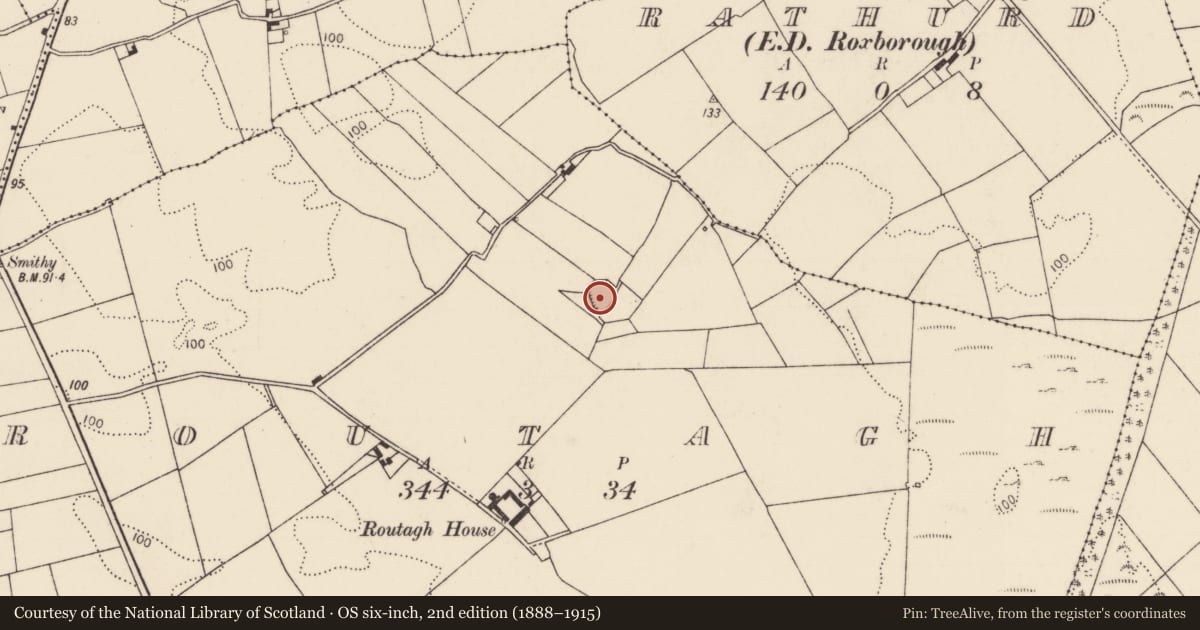 Ordnance Survey six-inch map, 2nd edition (1888–1915) covering the location of Ringfort - cashel, Routagh, County Limerick, with a pin at the register's coordinates