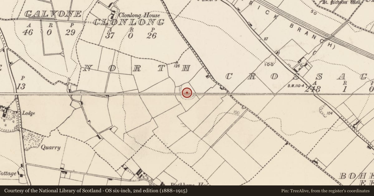 Ordnance Survey six-inch map, 2nd edition (1888–1915) covering the location of Castle - ringwork, Rathbane North, County Limerick, with a pin at the register's coordinates