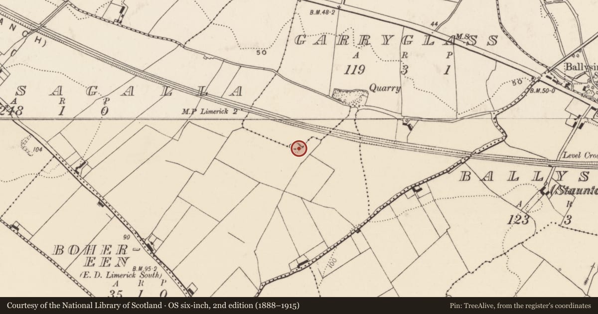Ordnance Survey six-inch map, 2nd edition (1888–1915) covering the location of Ringfort - rath, Crossagalla, County Limerick, with a pin at the register's coordinates