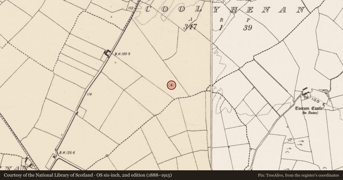 Ordnance Survey six-inch map, 2nd edition (1888–1915) covering the location of Ringfort - rath, Coolyhenan, County Limerick, with a pin at the register's coordinates