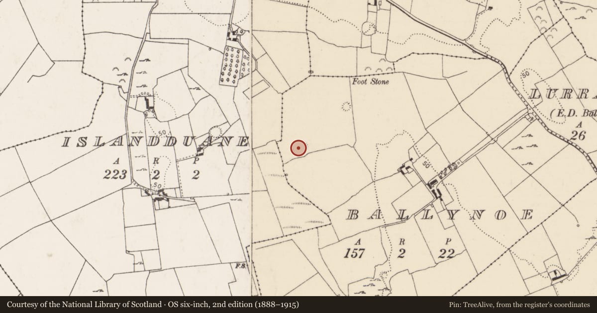 Ordnance Survey six-inch map, 2nd edition (1888–1915) covering the location of Ringfort - rath, Ballynoe, County Limerick, with a pin at the register's coordinates