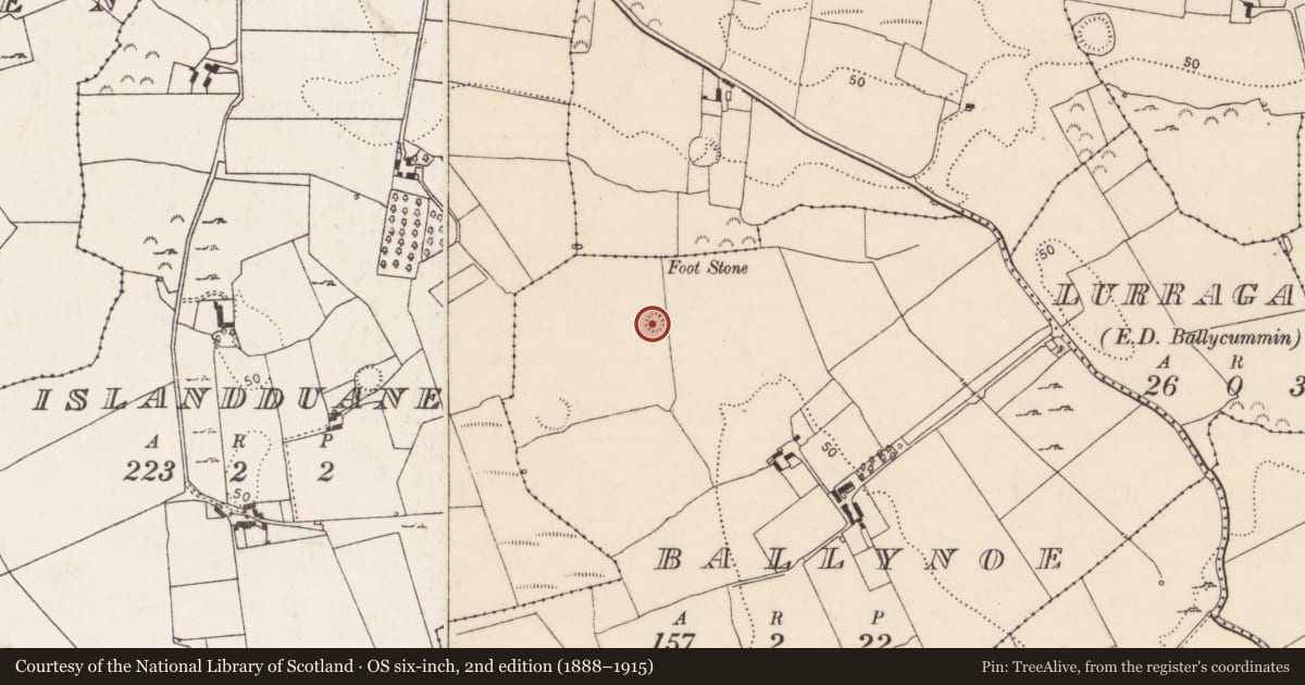 Ordnance Survey six-inch map, 2nd edition (1888–1915) covering the location of Ringfort - rath, Ballynoe, County Limerick, with a pin at the register's coordinates