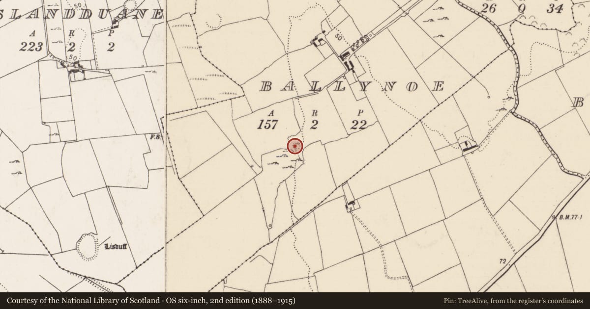 Ordnance Survey six-inch map, 2nd edition (1888–1915) covering the location of Ringfort - rath, Ballynoe, County Limerick, with a pin at the register's coordinates