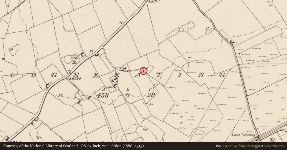 Ordnance Survey six-inch map, 2nd edition (1888–1915) covering the location of Ringfort - rath, Cloghkeating, County Limerick, with a pin at the register's coordinates