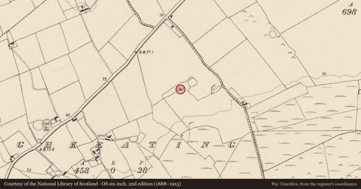 Ordnance Survey six-inch map, 2nd edition (1888–1915) covering the location of Ringfort - rath, Cloghkeating, County Limerick, with a pin at the register's coordinates