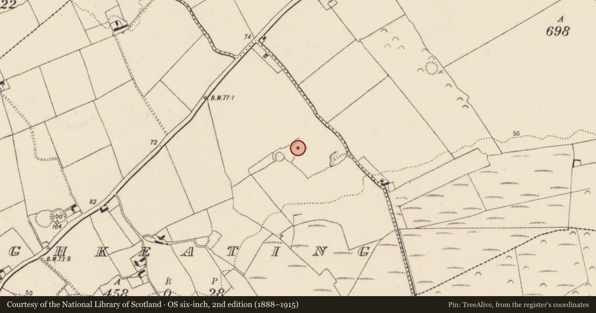 Ordnance Survey six-inch map, 2nd edition (1888–1915) covering the location of Ringfort - rath, Cloghkeating, County Limerick, with a pin at the register's coordinates