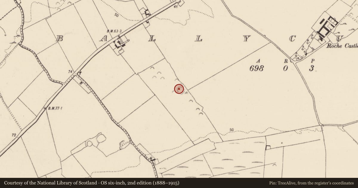 Ordnance Survey six-inch map, 2nd edition (1888–1915) covering the location of Ringfort - rath, Ballycummin, County Limerick, with a pin at the register's coordinates