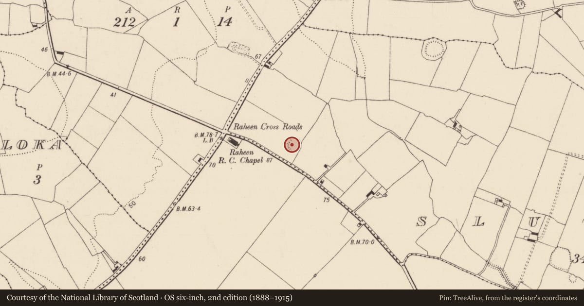 Ordnance Survey six-inch map, 2nd edition (1888–1915) covering the location of Ringfort - rath, Sluggary, County Limerick, with a pin at the register's coordinates