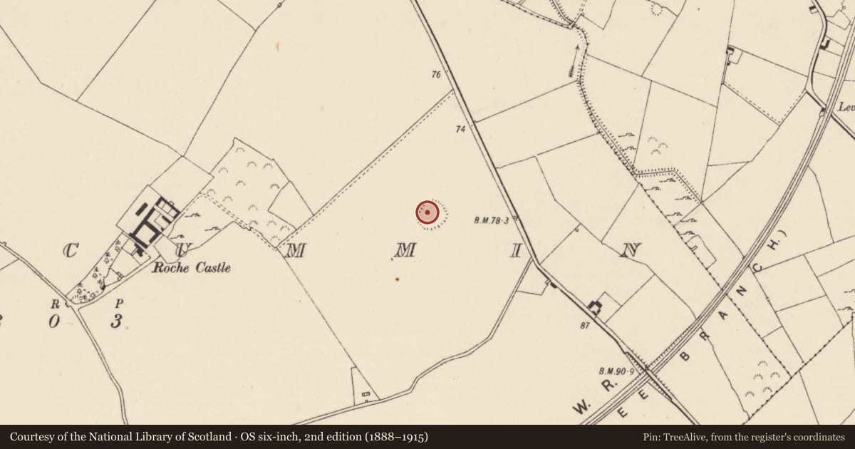 Ordnance Survey six-inch map, 2nd edition (1888–1915) covering the location of Ringfort - rath, Ballycummin, County Limerick, with a pin at the register's coordinates