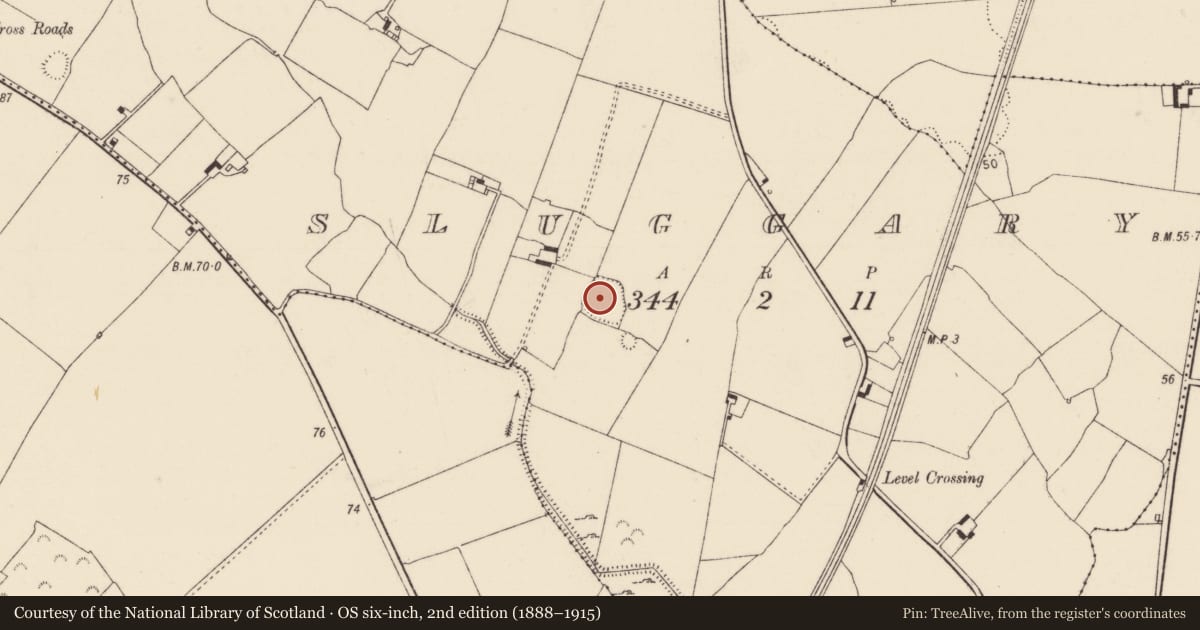 Ordnance Survey six-inch map, 2nd edition (1888–1915) covering the location of Ringfort - rath, Sluggary, County Limerick, with a pin at the register's coordinates
