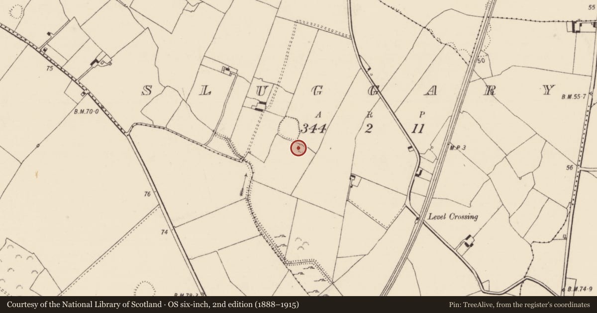 Ordnance Survey six-inch map, 2nd edition (1888–1915) covering the location of Ringfort - rath, Sluggary, County Limerick, with a pin at the register's coordinates