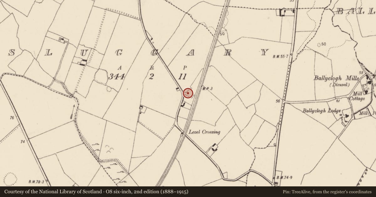 Ordnance Survey six-inch map, 2nd edition (1888–1915) covering the location of Ringfort - rath, Sluggary, County Limerick, with a pin at the register's coordinates