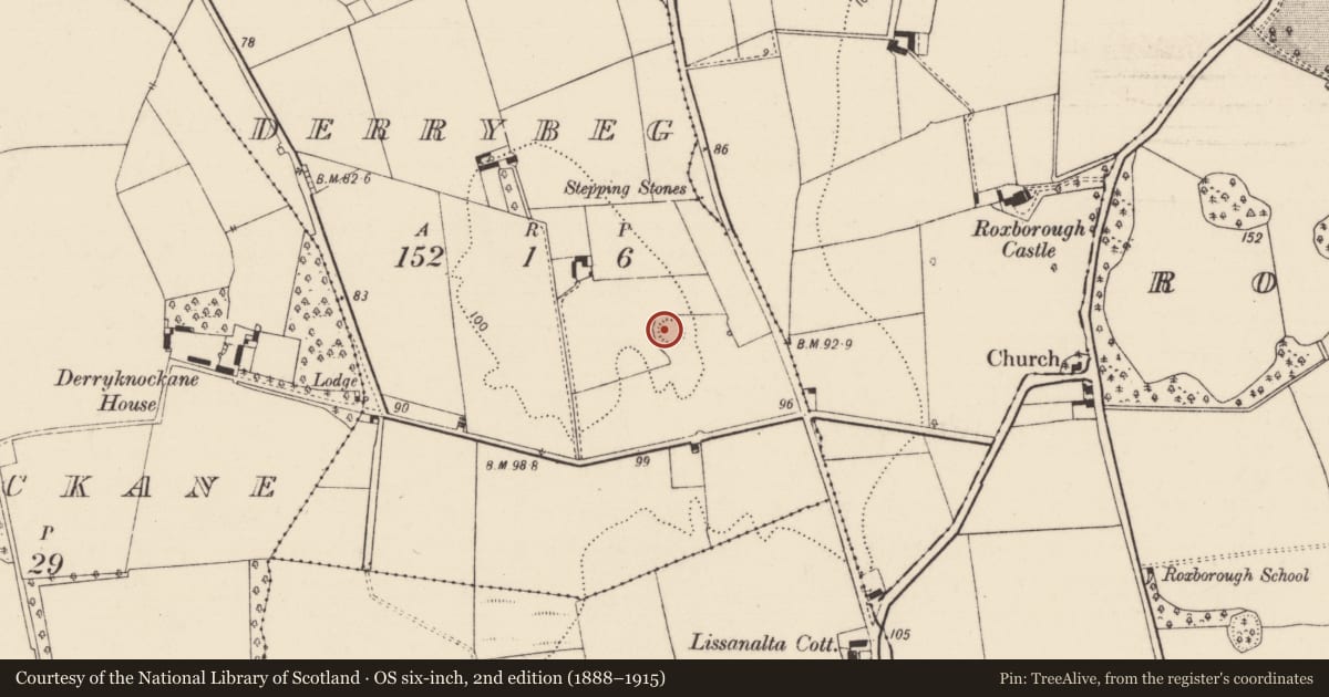 Ordnance Survey six-inch map, 2nd edition (1888–1915) covering the location of Ringfort - rath, Derrybeg, County Limerick, with a pin at the register's coordinates