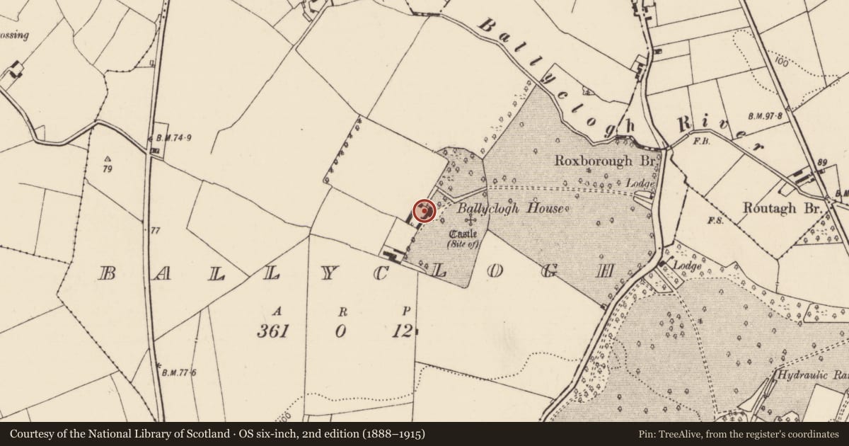 Ordnance Survey six-inch map, 2nd edition (1888–1915) covering the location of Castle - unclassified, Ballyclogh, County Limerick, with a pin at the register's coordinates