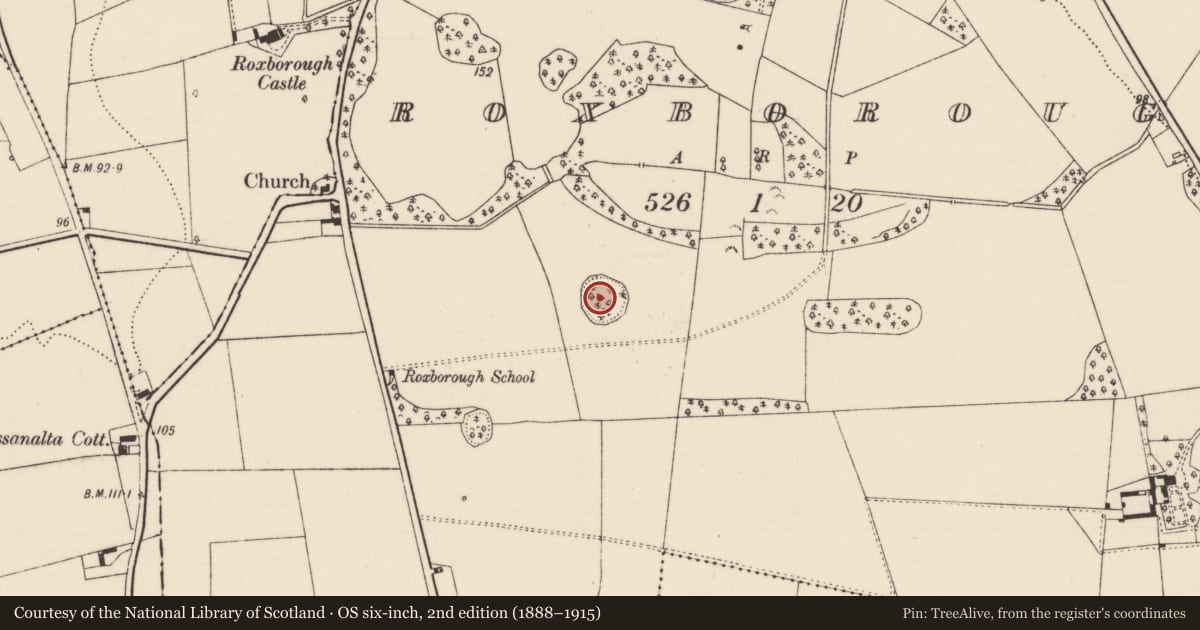 Ordnance Survey six-inch map, 2nd edition (1888–1915) covering the location of Ringfort - cashel, Roxborough, County Limerick, with a pin at the register's coordinates
