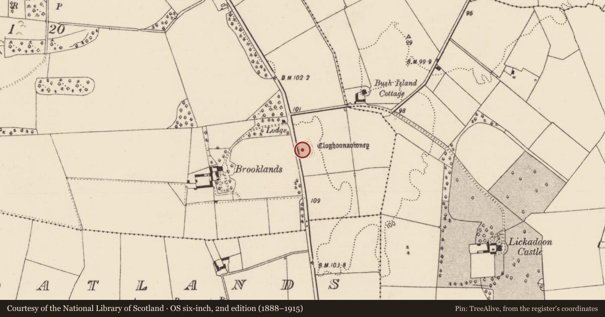Ordnance Survey six-inch map, 2nd edition (1888–1915) covering the location of Moated site, Roxborough, County Limerick, with a pin at the register's coordinates