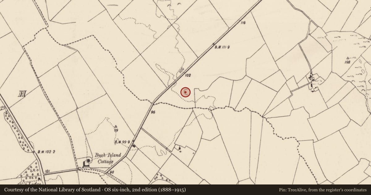 Ordnance Survey six-inch map, 2nd edition (1888–1915) covering the location of Ringfort - rath, Drombanny, County Limerick, with a pin at the register's coordinates