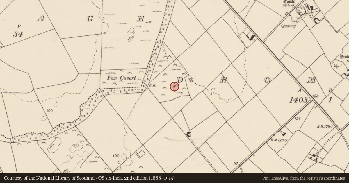 Ordnance Survey six-inch map, 2nd edition (1888–1915) covering the location of Ringfort - rath, Drombanny, County Limerick, with a pin at the register's coordinates