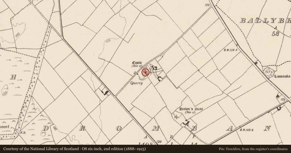 Ordnance Survey six-inch map, 2nd edition (1888–1915) covering the location of Castle - unclassified, Drombanny, County Limerick, with a pin at the register's coordinates