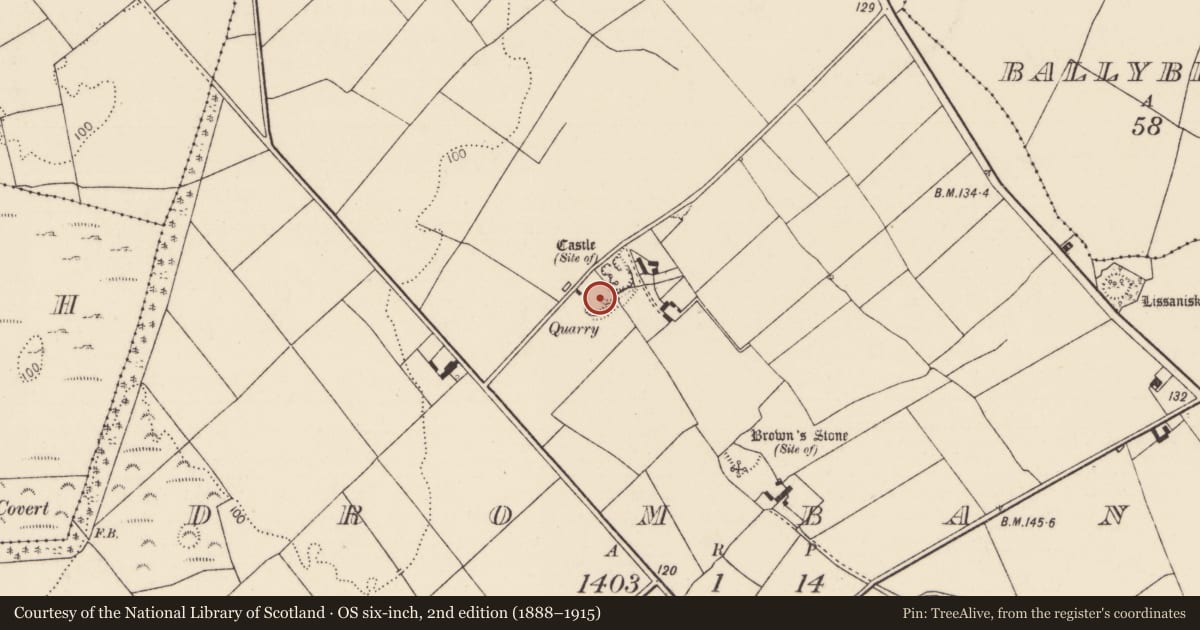Ordnance Survey six-inch map, 2nd edition (1888–1915) covering the location of Moated site, Drombanny, County Limerick, with a pin at the register's coordinates