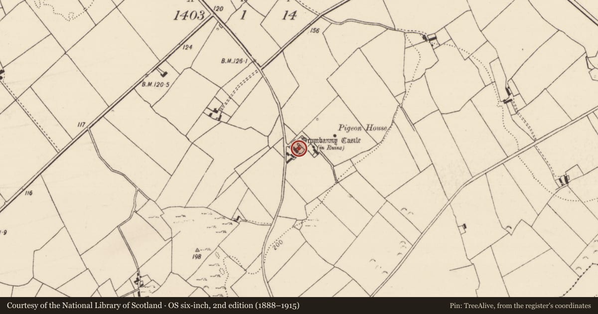 Ordnance Survey six-inch map, 2nd edition (1888–1915) covering the location of House - fortified house, Drombanny, County Limerick, with a pin at the register's coordinates