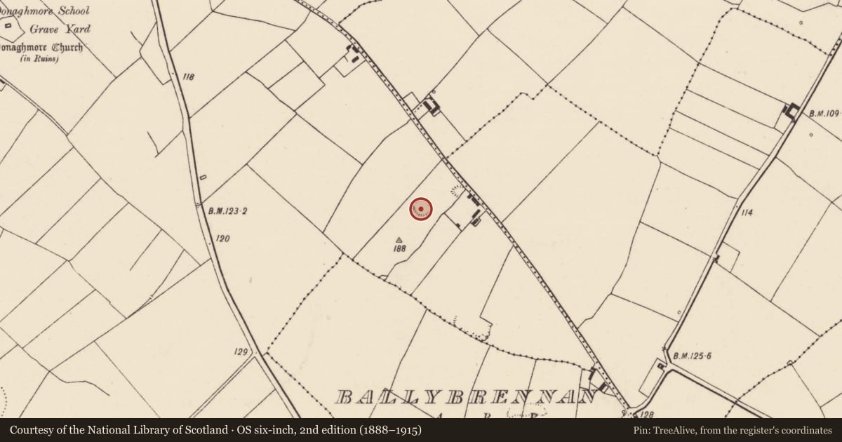 Ordnance Survey six-inch map, 2nd edition (1888–1915) covering the location of Ringfort - rath, Drombanny, County Limerick, with a pin at the register's coordinates