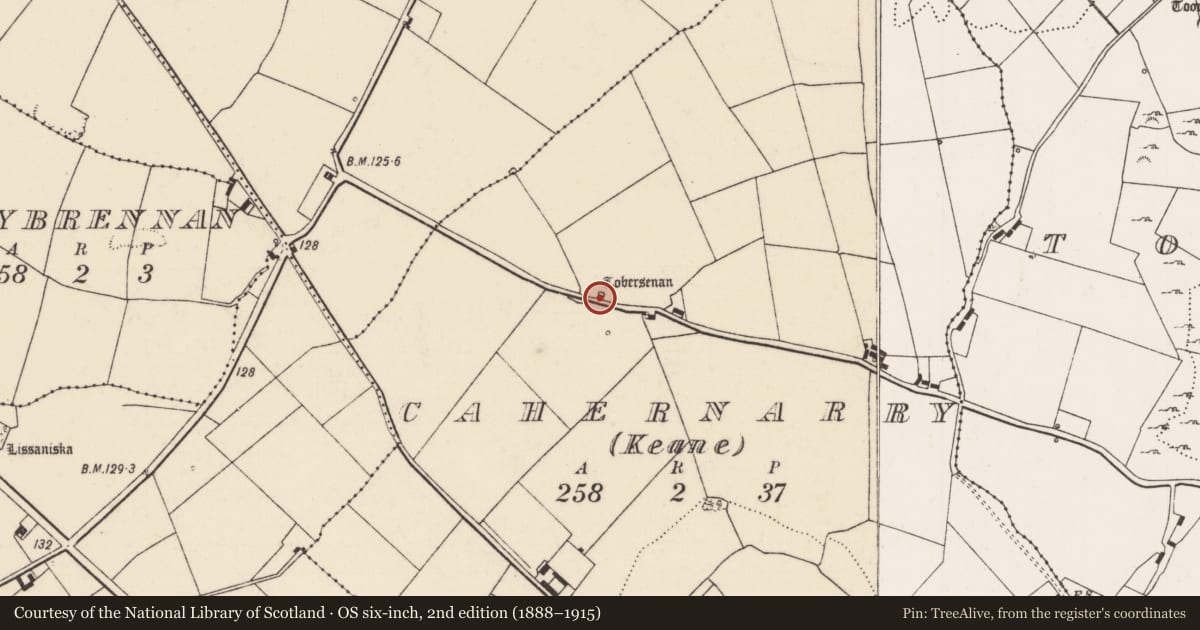 Ordnance Survey six-inch map, 2nd edition (1888–1915) covering the location of Ritual site - holy well, Cahernarry (Keane), County Limerick, with a pin at the register's coordinates