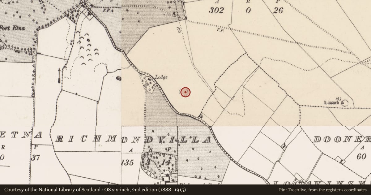 Ordnance Survey six-inch map, 2nd edition (1888–1915) covering the location of Ringfort - rath, Greenmount, County Limerick, with a pin at the register's coordinates