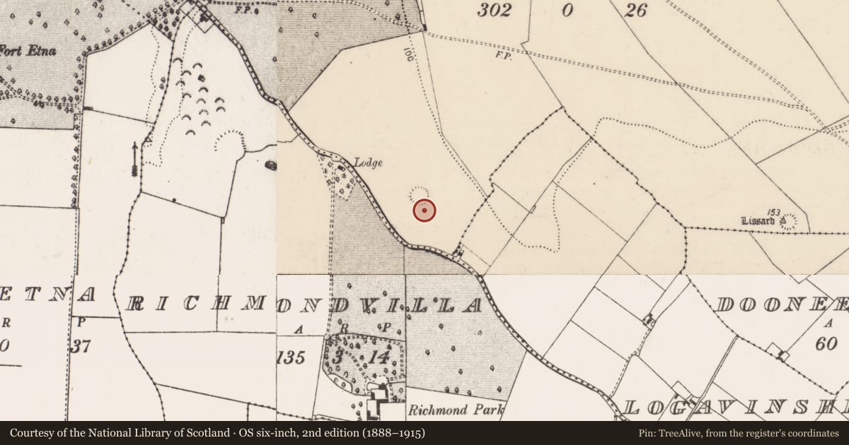 Ordnance Survey six-inch map, 2nd edition (1888–1915) covering the location of Hut site, Greenmount, County Limerick, with a pin at the register's coordinates