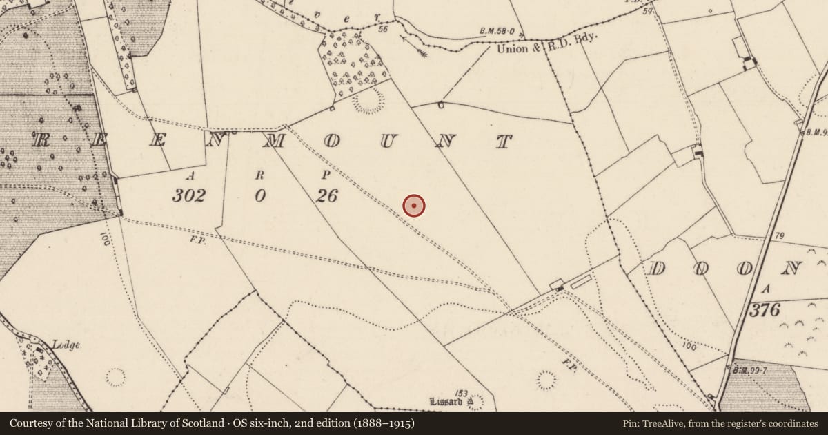 Ordnance Survey six-inch map, 2nd edition (1888–1915) covering the location of Field system, Greenmount, County Limerick, with a pin at the register's coordinates