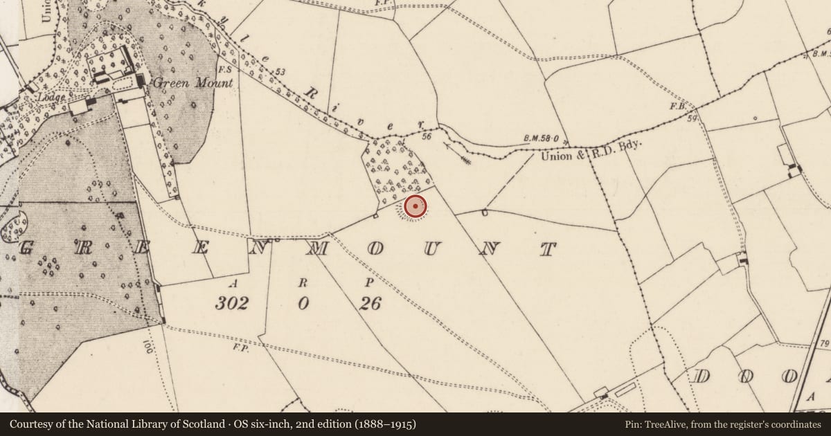 Ordnance Survey six-inch map, 2nd edition (1888–1915) covering the location of Ringfort - rath, Greenmount, County Limerick, with a pin at the register's coordinates