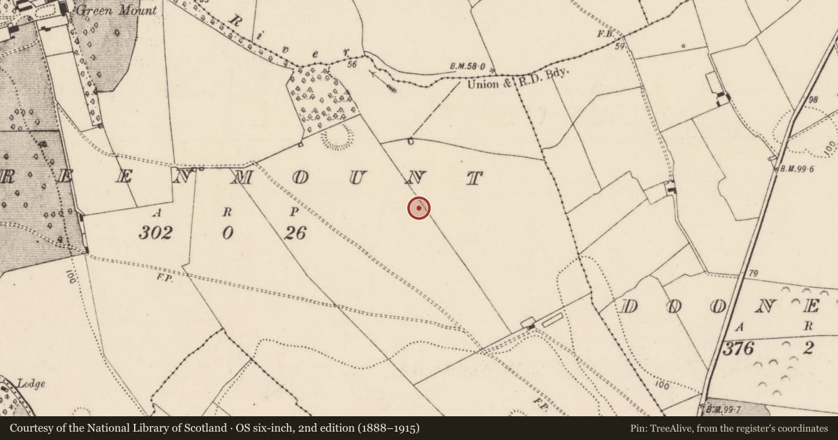 Ordnance Survey six-inch map, 2nd edition (1888–1915) covering the location of Ringfort - rath, Greenmount, County Limerick, with a pin at the register's coordinates
