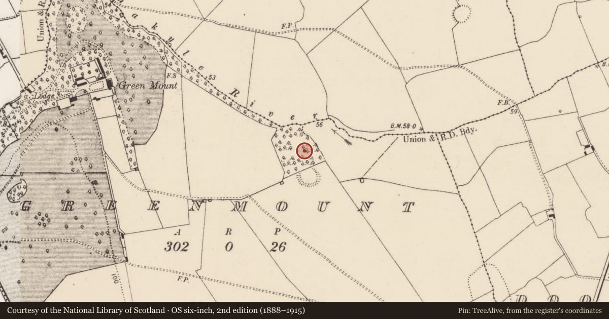 Ordnance Survey six-inch map, 2nd edition (1888–1915) covering the location of Mound, Greenmount, County Limerick, with a pin at the register's coordinates